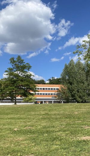 20250523_153317000_iOS